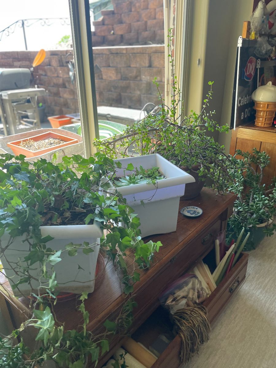 Antique Haven at Newport Landing in Bennington, NE starts on 5/10/2024