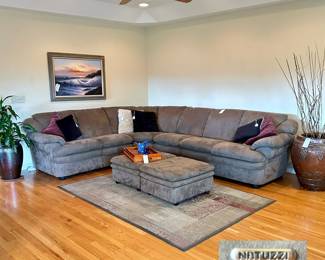 NATUZZI Sectional Sofa.  Camera isn’t picking up its true color.  It has a very nice green hue to it in person.  