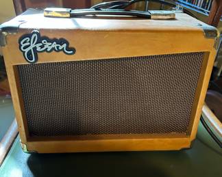  Esteban Guitar Amplifier - ES-15A