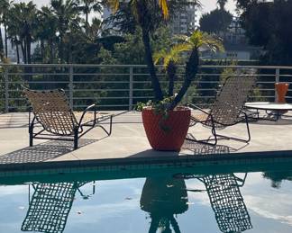 Orange pots NOT for sale.