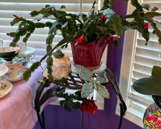 Christmas cactus, plant stand