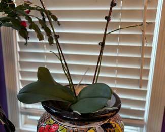 Mexican pottery planter / orchid 