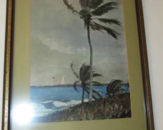 Angela palm tree a