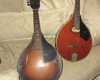 Angela mandolins