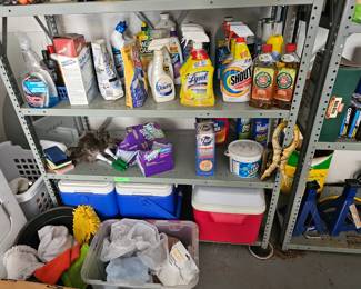 Garage - Tools, Gun safe, tool chest, garden tools, hand tools, sockets, washer and dryer