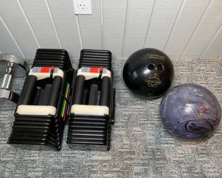 Powerblock Adjustable Dumbbells 5lbs to 85/90lbs. Also a Track 930T Bowling Ball