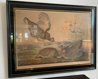 $450 Pinnated Grous Tetrao Cupido Male 12 Female 3 Lilium Superbum Drawan from nature by JJ Audubon , Chromolithe by J. Bien NY 1860 36 x 25 - 42 x  32