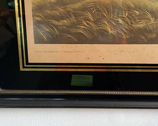 $450 Pinnated Grous Tetrao Cupido Male 12 Female 3 Lilium Superbum Drwan from nature by JJ Audubon , Chromolithe by J. Bien NY 1860 36 x 25 - 42 x  32