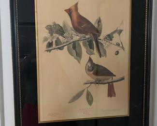 $200 each Cardinal Grosbeak color print Published copyright1937 by the American Institute NY city 22x29