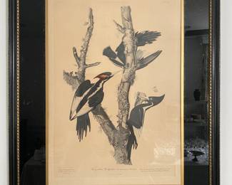 $200 - " Ivory billed woodpecker  "- Same publishers & print maker as 1st of same size. 22x29