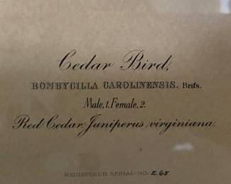 $200 - Cedar Bird - Same publishers & print maker as 1st of same size. 22x29