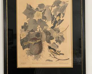 $200  " Baltimore Oriole  "-- Same publishers & print maker as 1st of same size. 22x29
