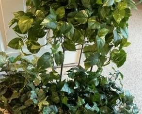 Artificial Plants And Stand