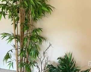 Artificial Plants And Decor