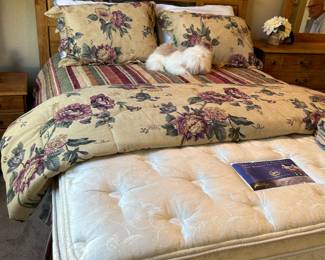 Serta Double Pillow top Mattress & Base