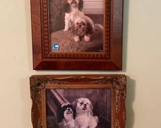 Beautiful frames,( cute dogs)