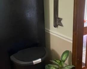 step trash can, artificial plant, wall clock