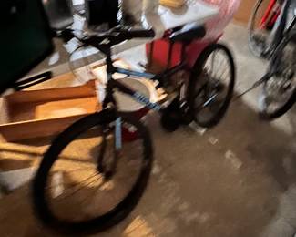 The other one… sorry it’s blurry; the picture I mean.  The bike is not really blurry; that would be weird.