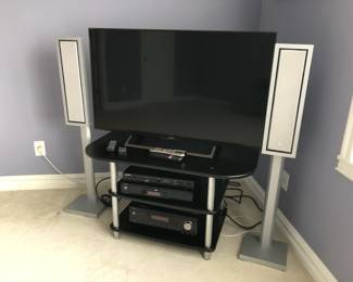 48 TV, Stand, Speakers