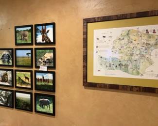 African Safari Collection