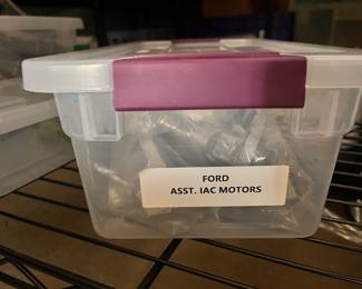 Ford iac motors