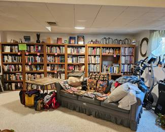 Our Library-Pretty Organized!