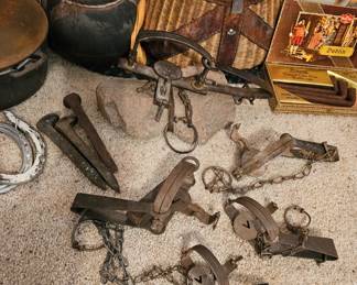 Animal Traps