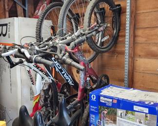 Avalon bike, Avigo bike
