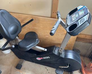 Edge 491 recumbent exercise bike