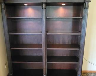 Lighted Bookshelf