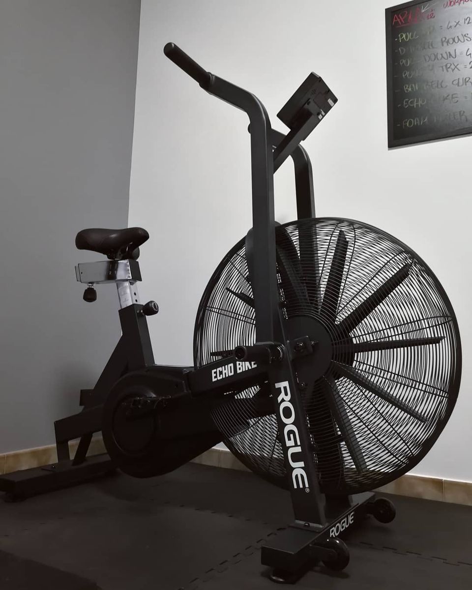 Stationary Exercise Bike / Echo Bike Rouge, purchased for $900 in September 2023. Hardly used due to illness.