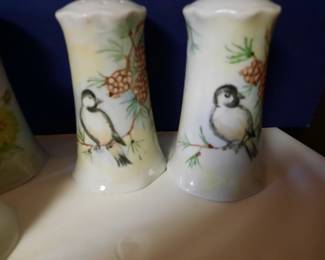 Hand Painted Salt and Pepper Shakers