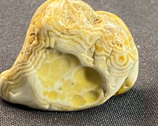 Fairburn Agate 12 Frog Skin