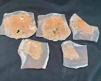 Montana Dryhead Agate 5 Slabs