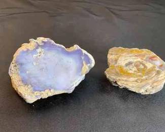 Colorful Petrified Wood Nice Looking Specimen