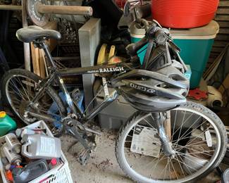 Raleigh women's bike