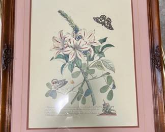 Botanical Print