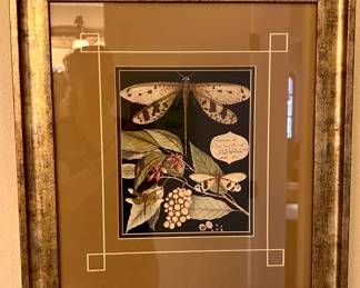 Paragon Dragonflies Artwork