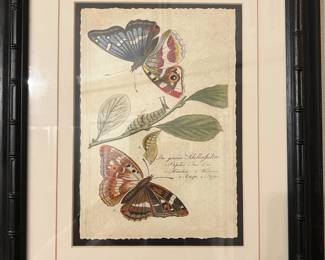 Wendover Art Group Papilio Grande Framed Artwork