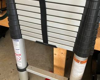 Telescoping Ladder