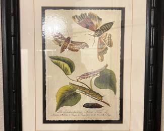Wendover Art Group Moth Grande Framed Artwork