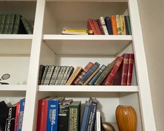 Lots of Books and Book Shelf Decor