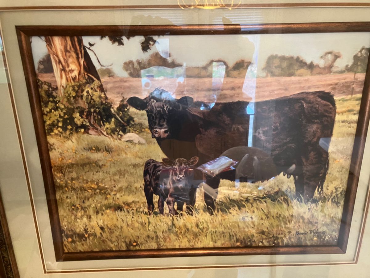 Living Estate Sale in Brookhollow in San Antonio, TX starts on 5/25/2024