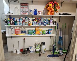 Lots of cleaning supplies