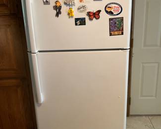 Refrigerator freezer in kitchen