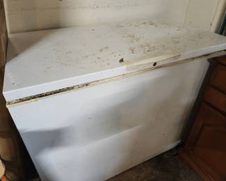 Freezer - Works Good