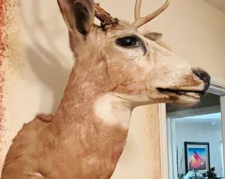 his eyes follow you wherever you go 

(Kidding!)