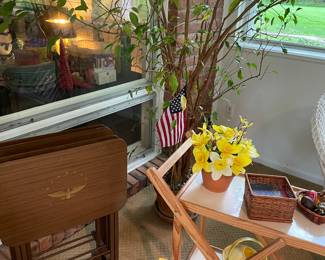 Large ficus tree, tv trays and bar cart or planting cart