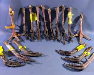 Turkey Spurs With Wildlife Tags, Qty 16