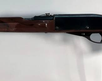 Remington Nylon 76 Trailrider .22 LR Lever Action Rifle SN# Not Found, In Gun Sleeve